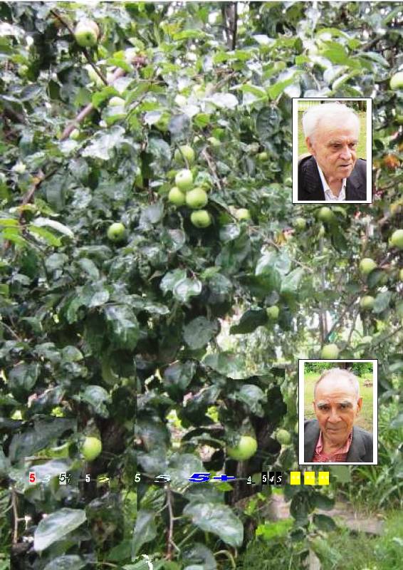 ������� �������� �������, 100.0 Kb