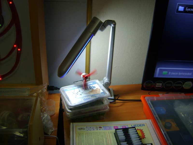 �� ����� ������ ����������� ���� ������� ������������ �������� �������� ������������ ��� ������-�������������� � ������������������� ������, 34.4 Kb