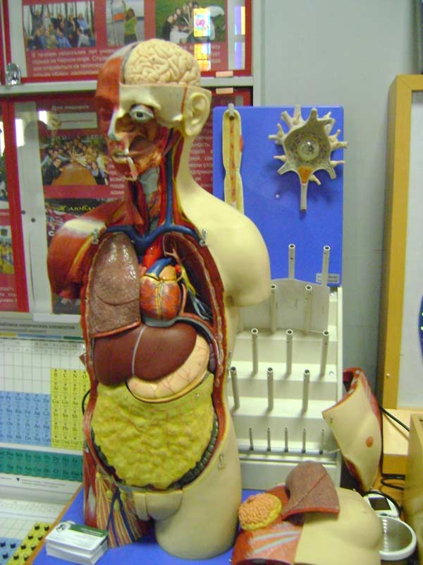 �� ����� ������ ����������� ���� ������� ������������ �������� �������� ������������ ��� ������-�������������� � ������������������� ������, 57.4 Kb