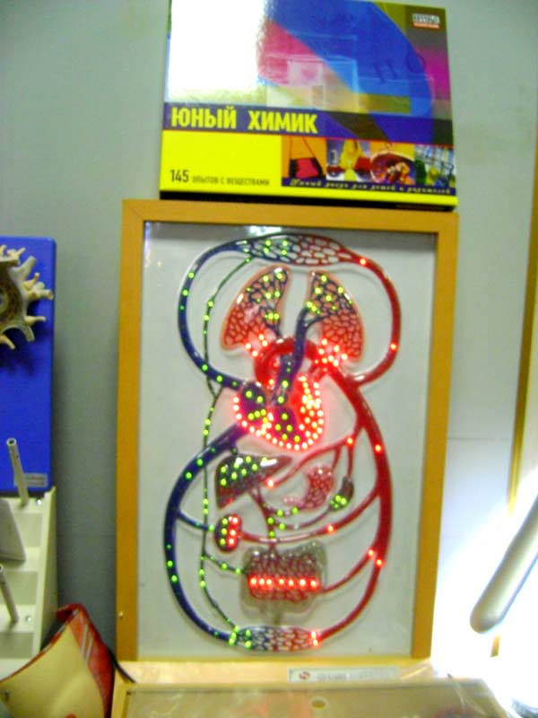 �� ����� ������ ����������� ���� ������� ������������ �������� �������� ������������ ��� ������-�������������� � ������������������� ������, 47.3 Kb