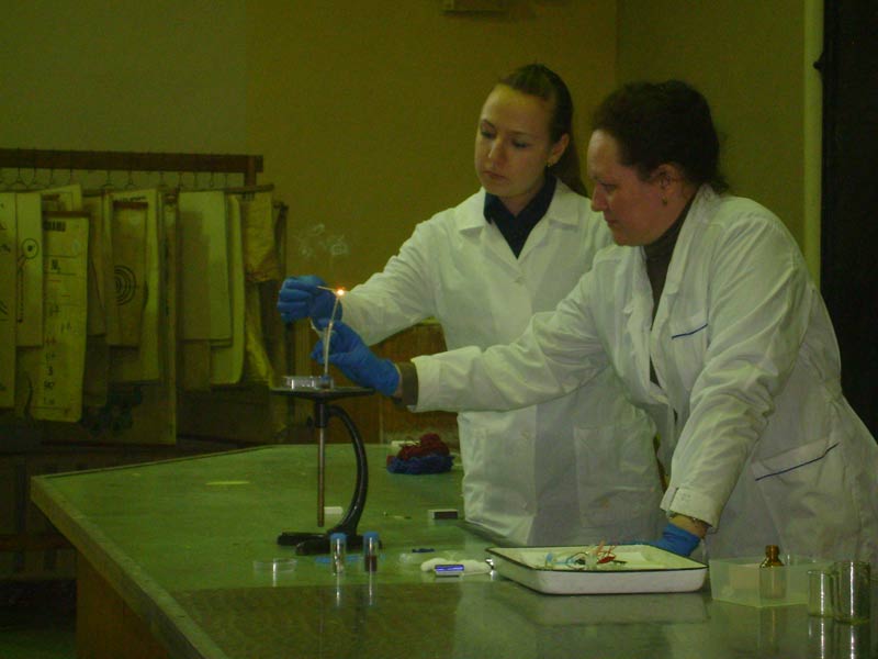 ������������ ������������ ������, 43.3 Kb