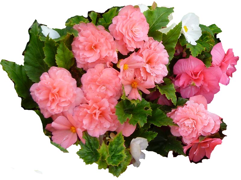 �����������!, 77.8 Kb