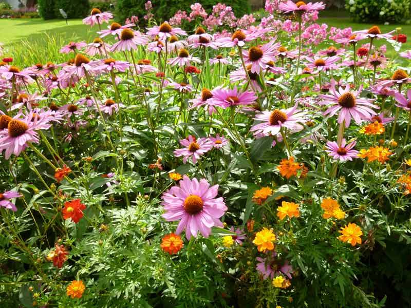 �����������!, 82.0 Kb