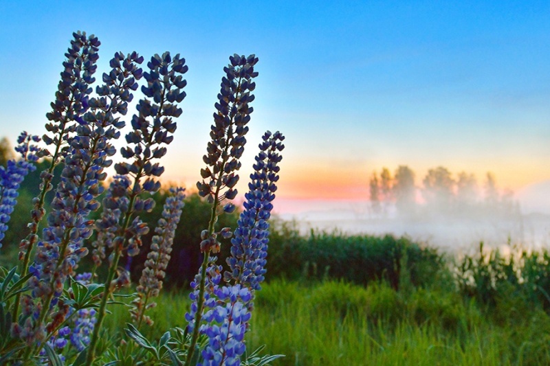 <small>���������� ������� ����������� ��������.<br>����: �������� ������</small>, 156.7 Kb