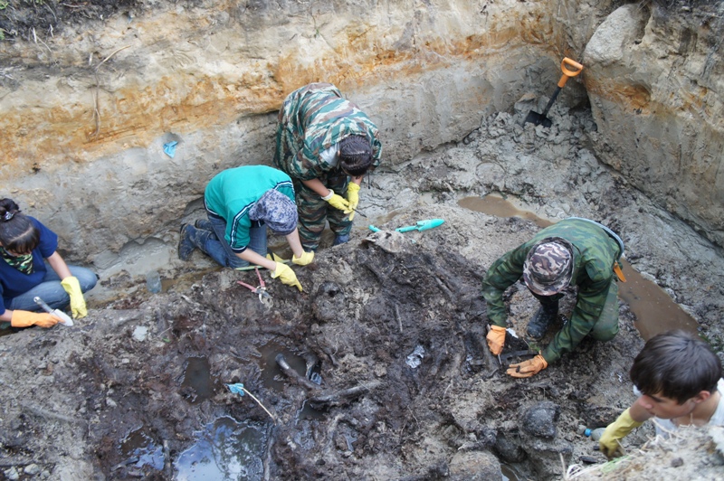 �������� �� 