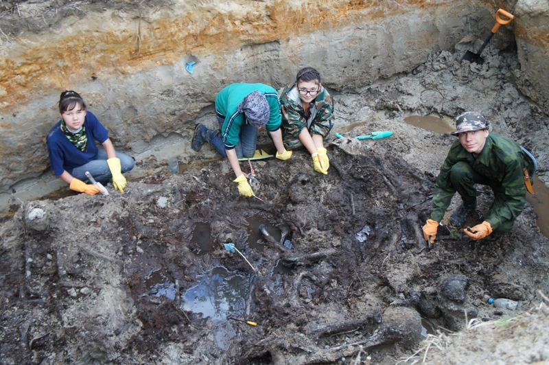 �� ���������, 320.4 Kb