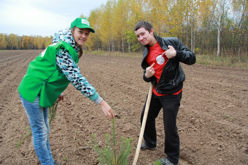 � ������, 348.1 Kb