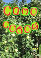 �������, 107.3 �� 