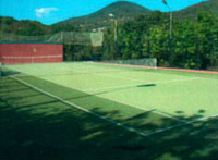 ���� ������ �����