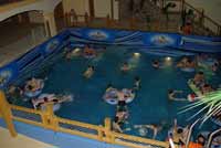 ������� ���� � ���������, 48.2 �� 