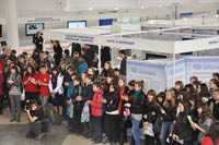 ������� ����������� - ���������� ��������, 86.5 �� 