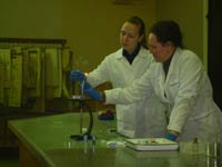 ������������ ������������ ������, 43.3 �� 