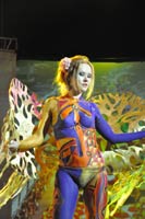 �� ����������� ����, ��������� (����-���), 66.6 �� 