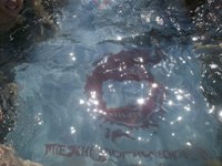 ����� � ������� �� - 2014!, 120.2 Kb