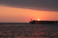 ����� � ������� �� - 2014!, 53.3 �� 