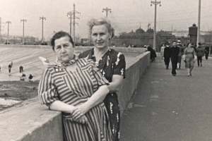 �. �. � �. �. ��������<br>�� ���������� �������, 261.6 �� 