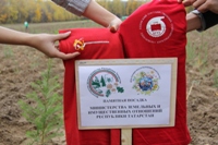 ������� ����, 238.0 Kb