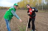 � ������, 348.1 �� 