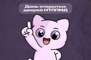 , 84.5 Kb