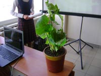 ������ �������., 59.0 �� 