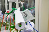 ��������� ��������, 56.1 �� 