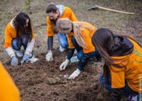 ������� ������ ����� ������� 