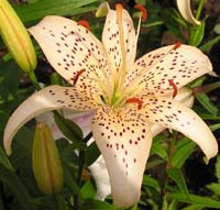 �����������!!!