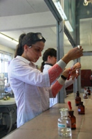 ���������� ����������������� ������, 207.9 �� 